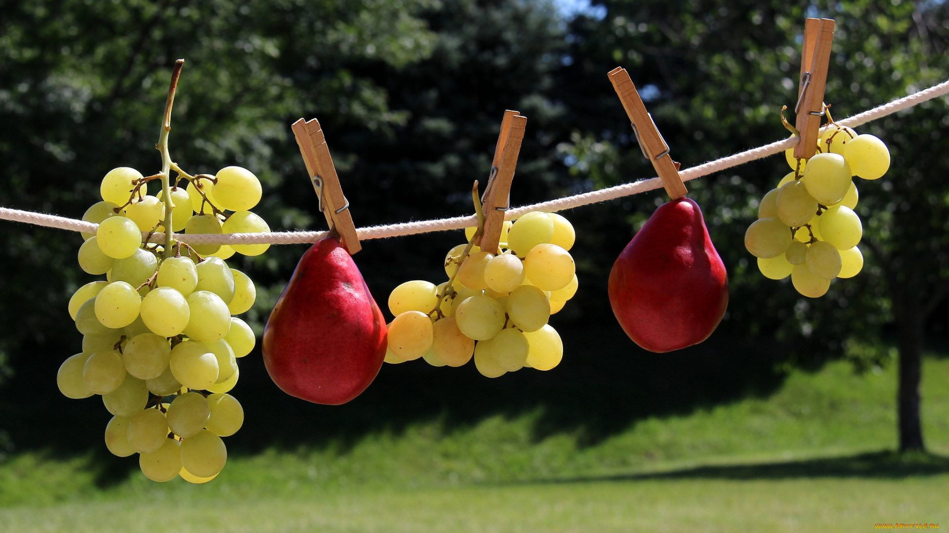 еда, фрукты, , ягоды, снедь