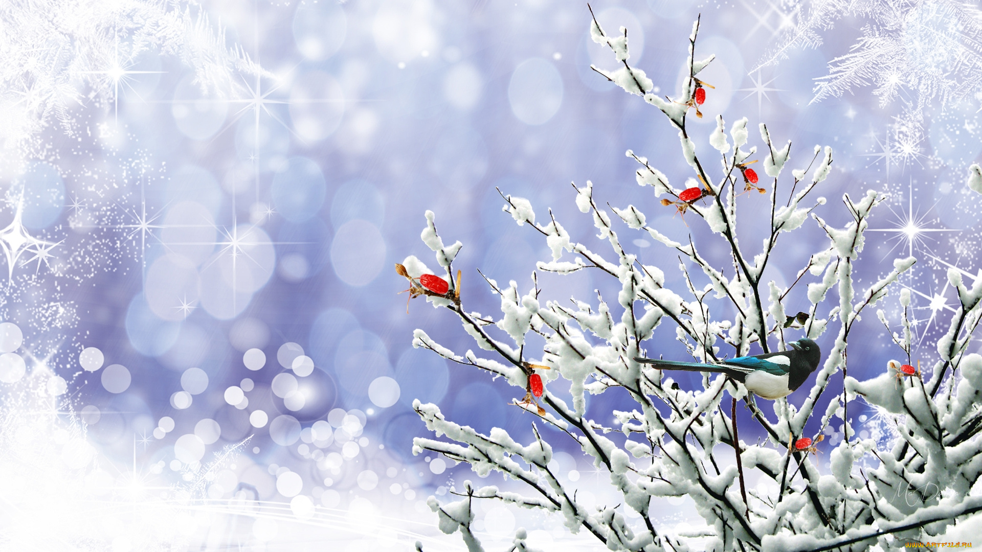 разное, компьютерный, дизайн, ветки, снег, сорока