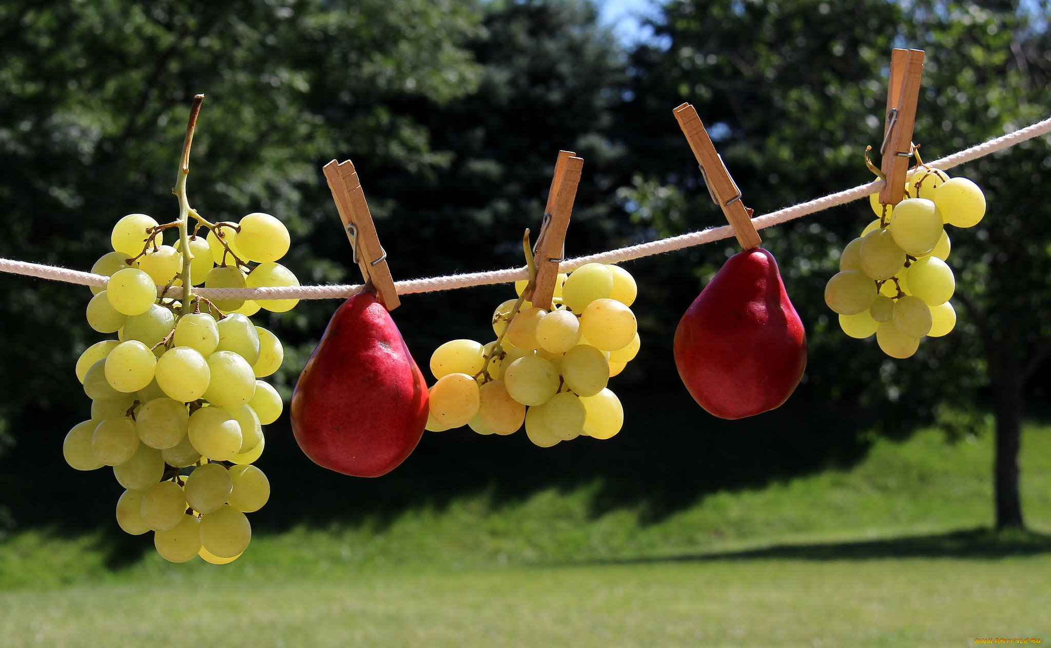 еда, фрукты, , ягоды, снедь