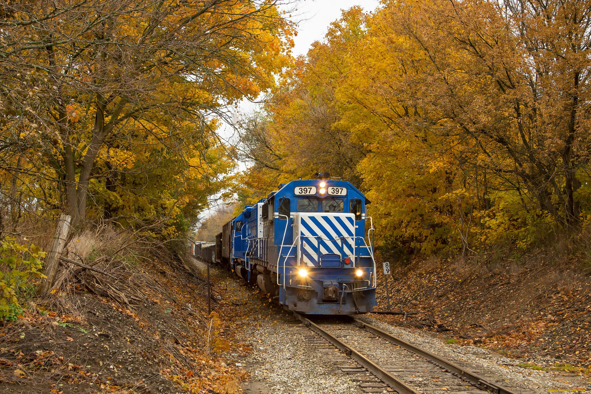 техника, поезда, локомотив, состав