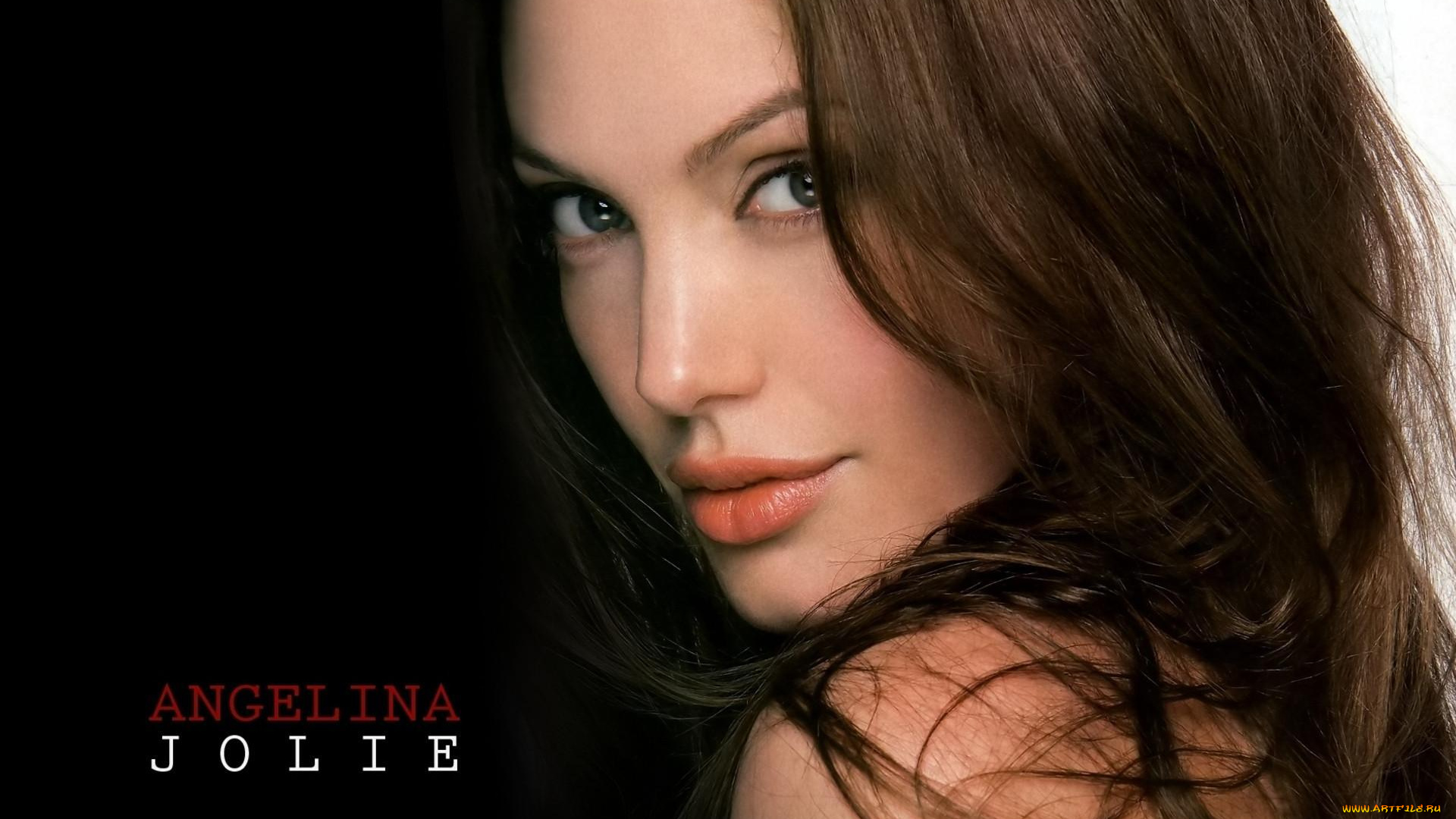 девушки, angelina, jolie, лицо, шатенка, актриса