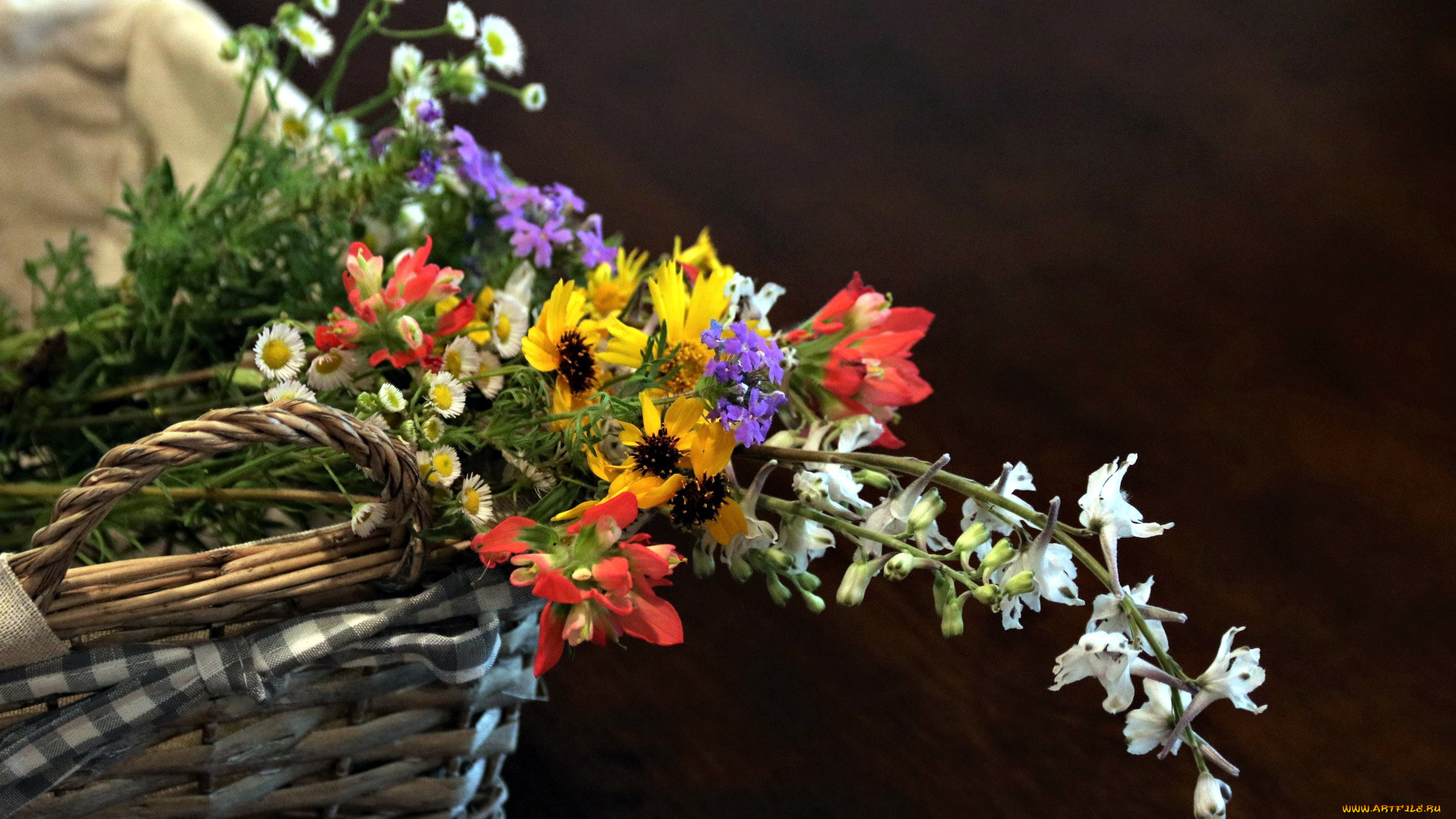 цветы, луговые, , полевые, , цветы, корзинка, луговые