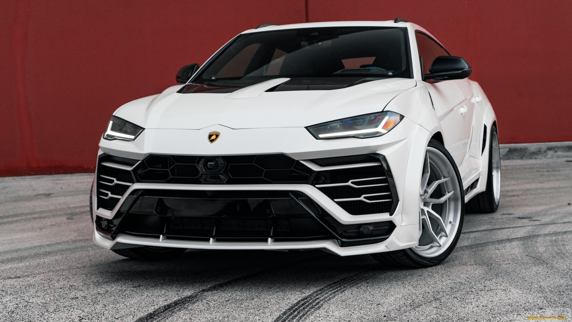 автомобили, lamborghini, white, suv, urus, vag