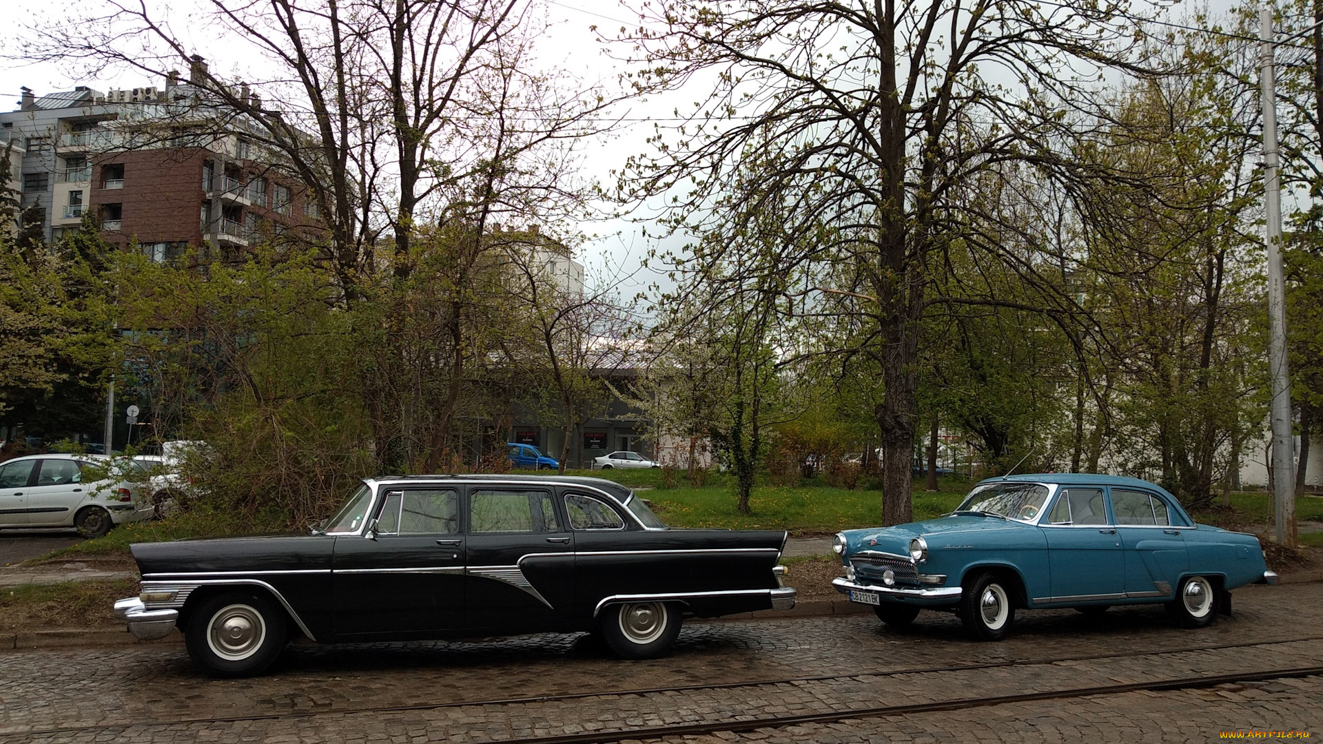 автомобили, выставки, и, уличные, фото, чайка, газ-, 13, 21, волга, ретро