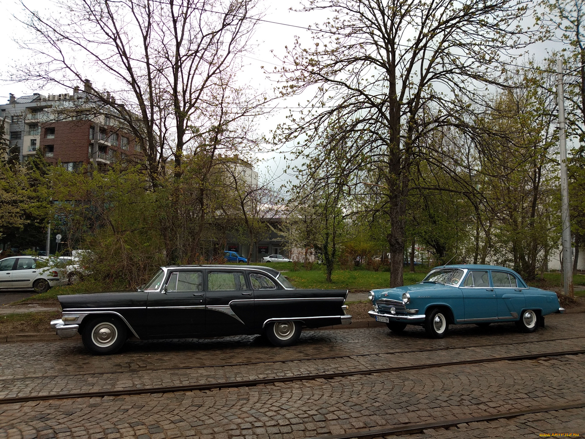 автомобили, выставки, и, уличные, фото, чайка, газ-, 13, 21, волга, ретро