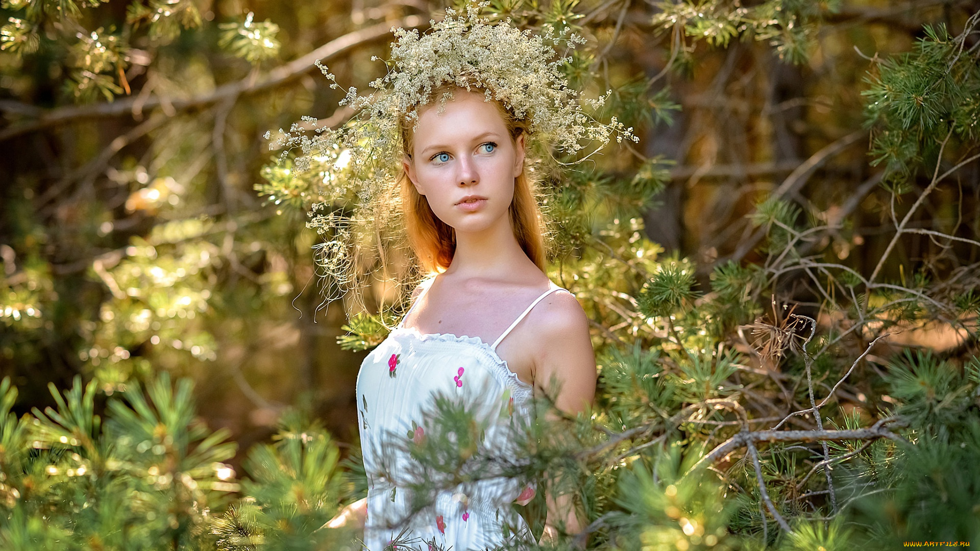 девушки, -, рыжеволосые, и, разноцветные, красивая, девушка