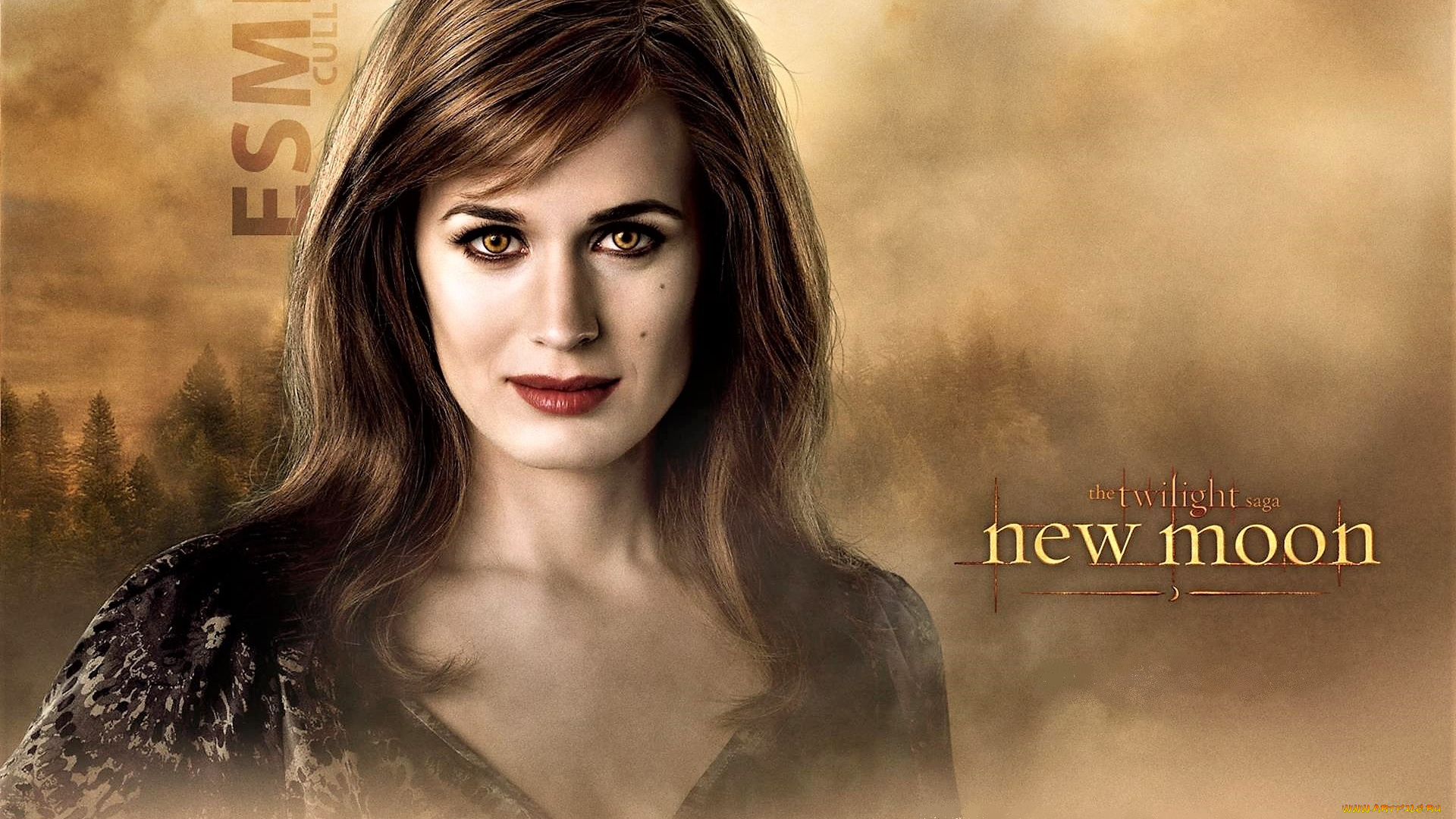 кино, фильмы, the, twilight, saga, , new, moon, эсме, лицо