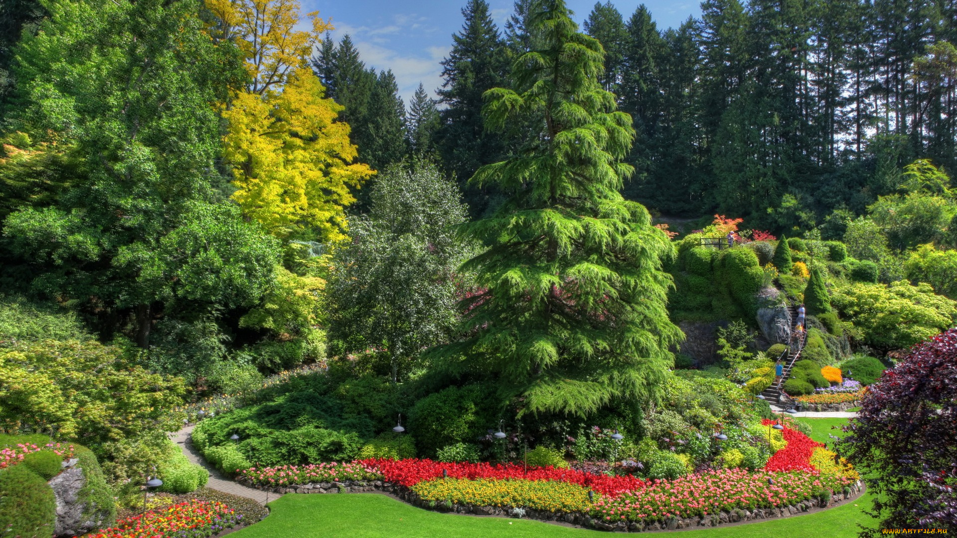 природа, парк, деревья, клумбы