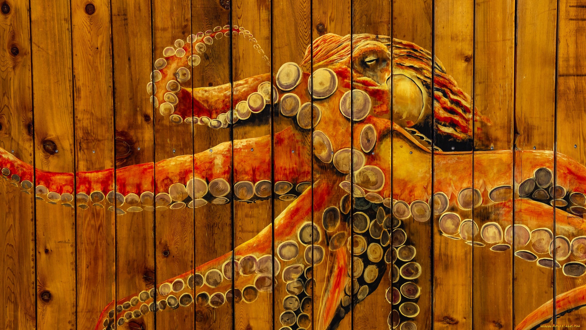 разное, граффити, осьминог