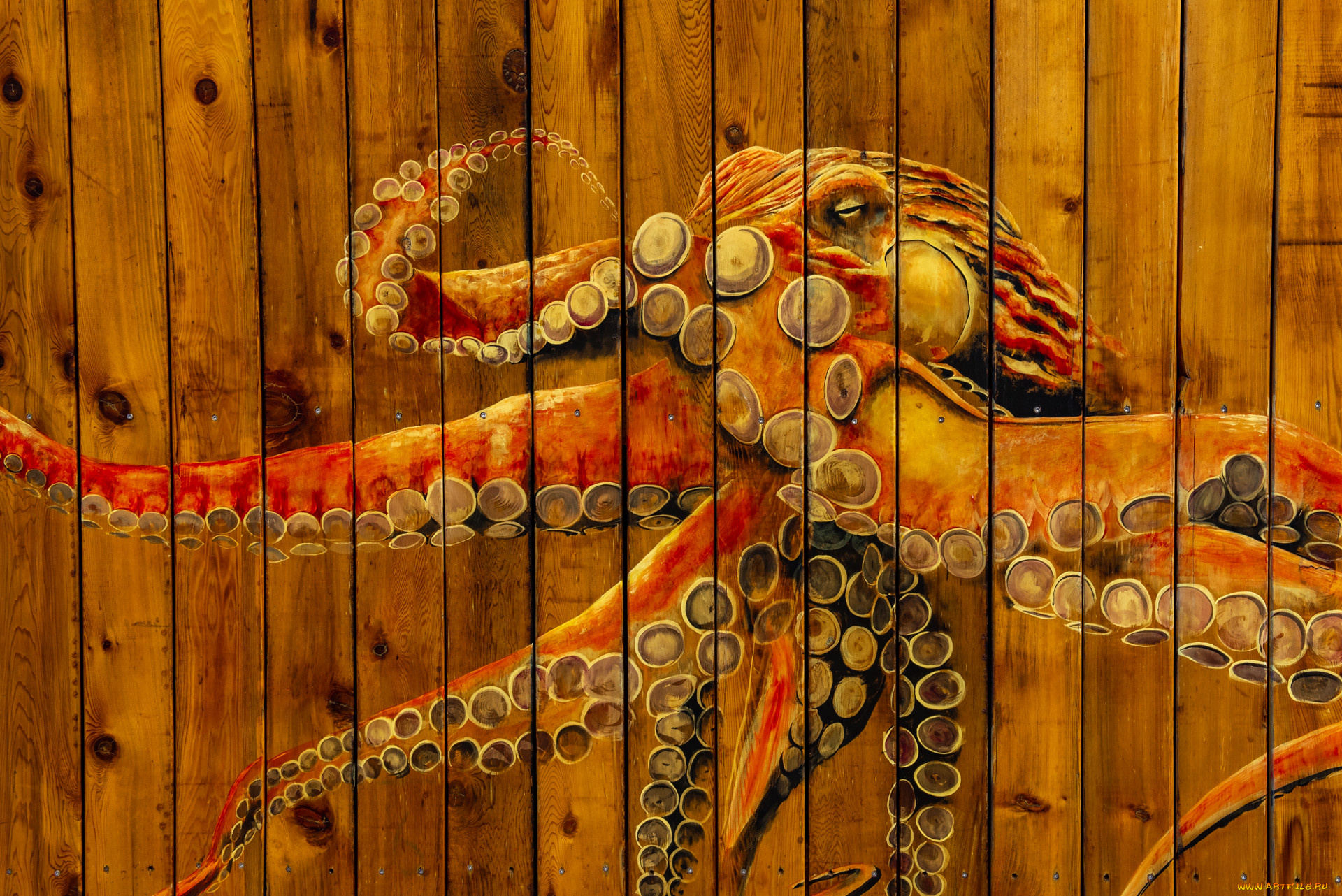 разное, граффити, осьминог