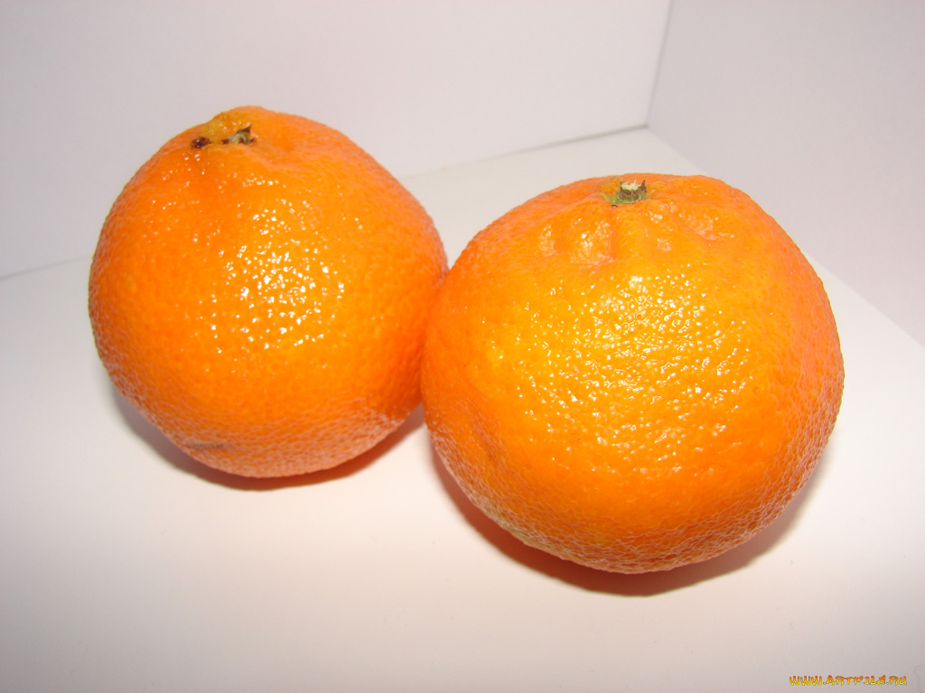 еда, цитрусы