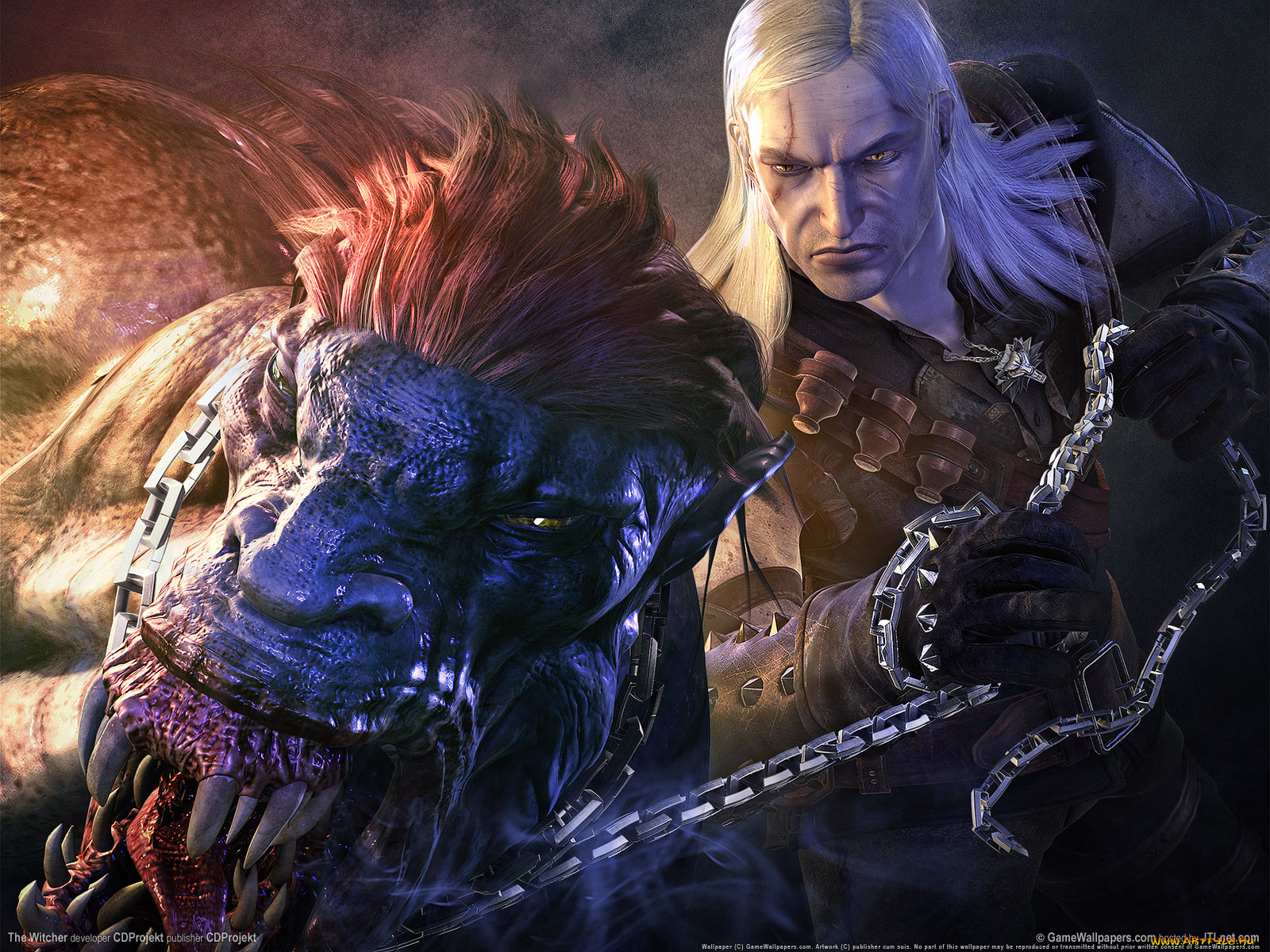 видео, игры, the, witcher