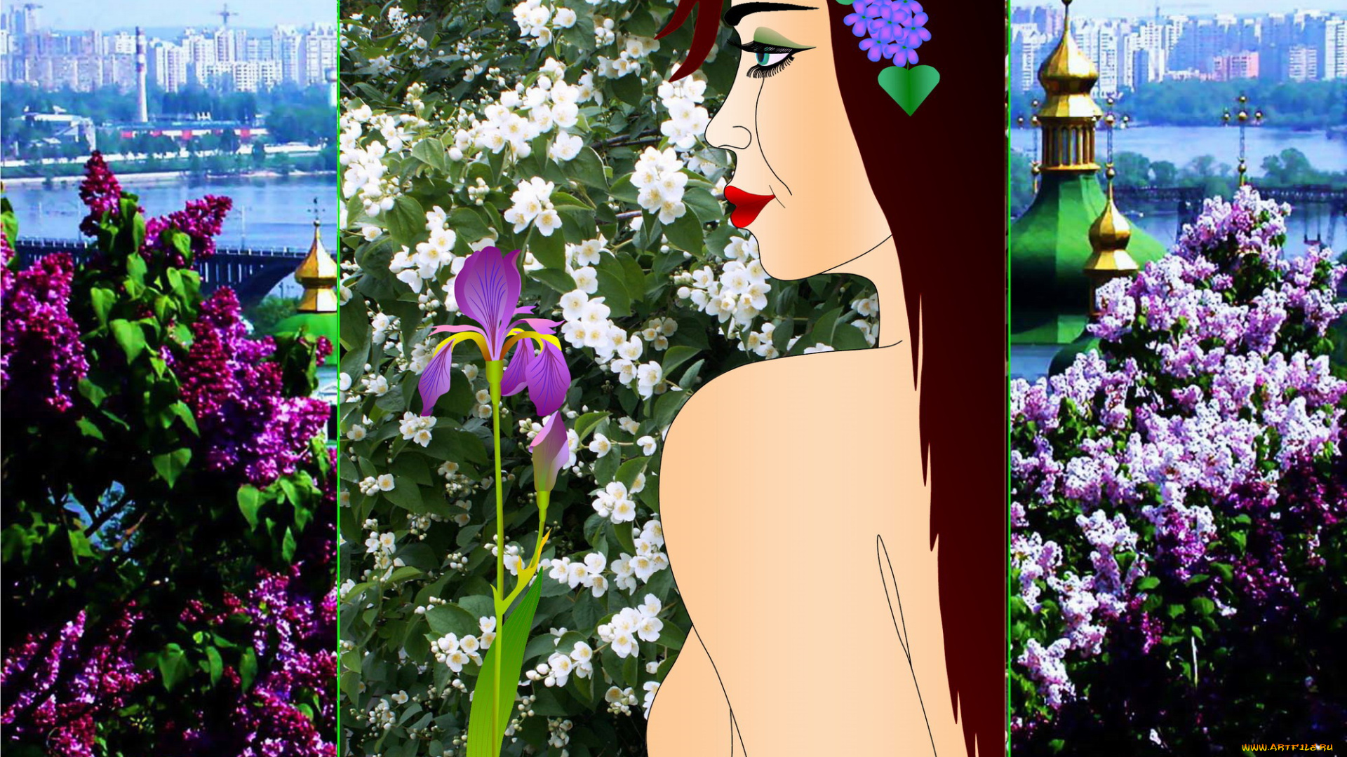 цветы, россии, ап, рисованные, люди