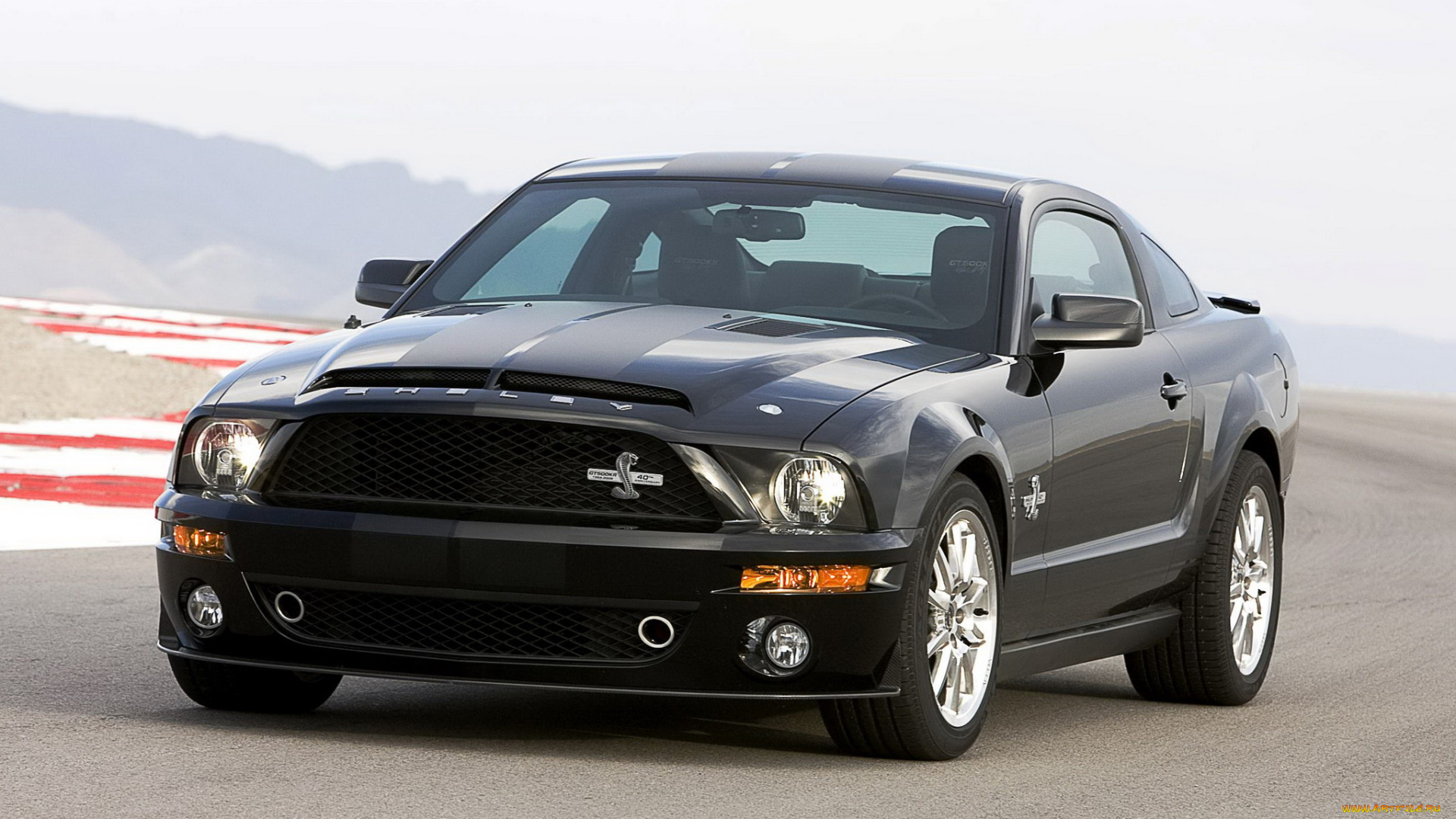 автомобили, mustang