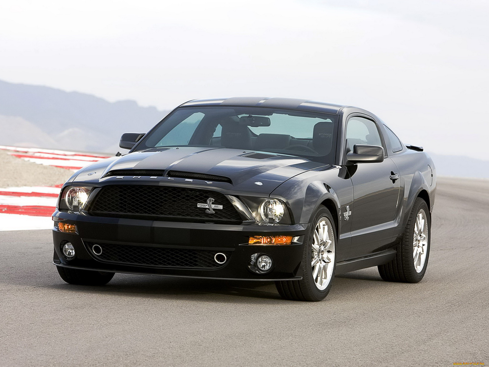 автомобили, mustang