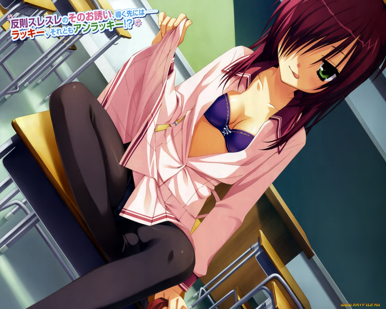 tenshinranman, visual, novel, аниме