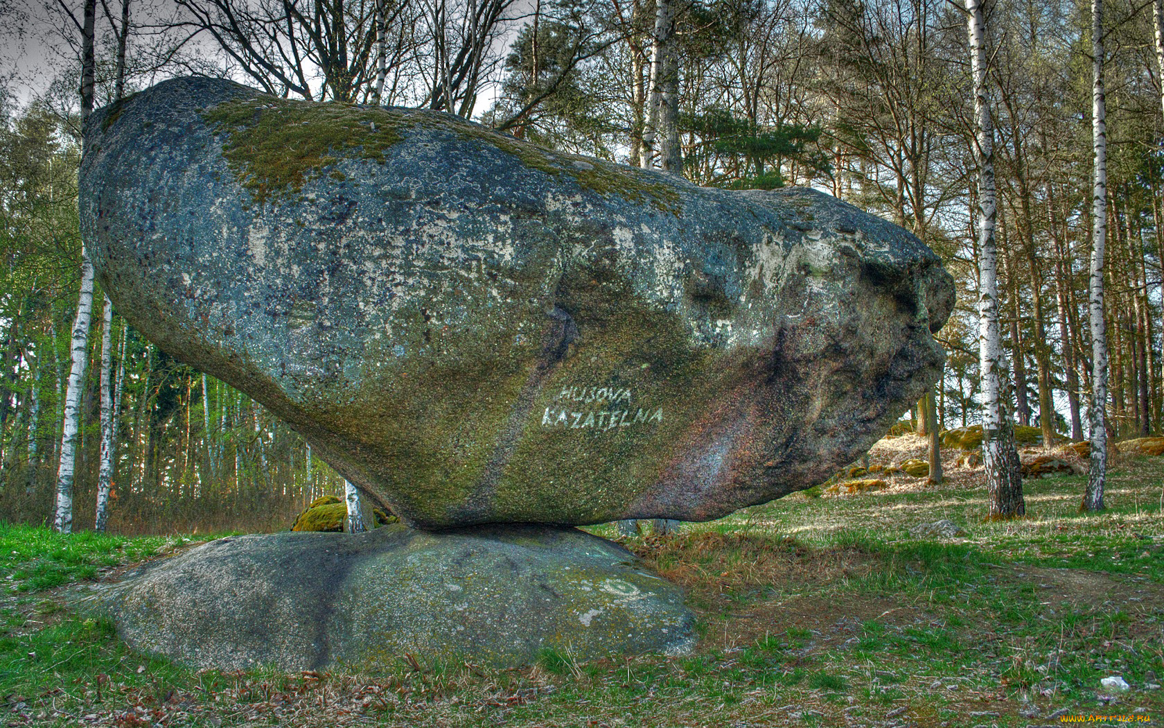 природа, камни, минералы, лес, валун