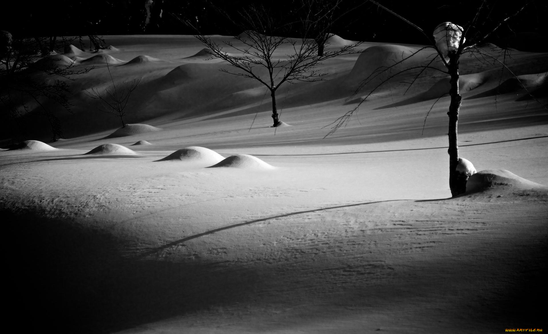 природа, зима, ночь, тени, свет