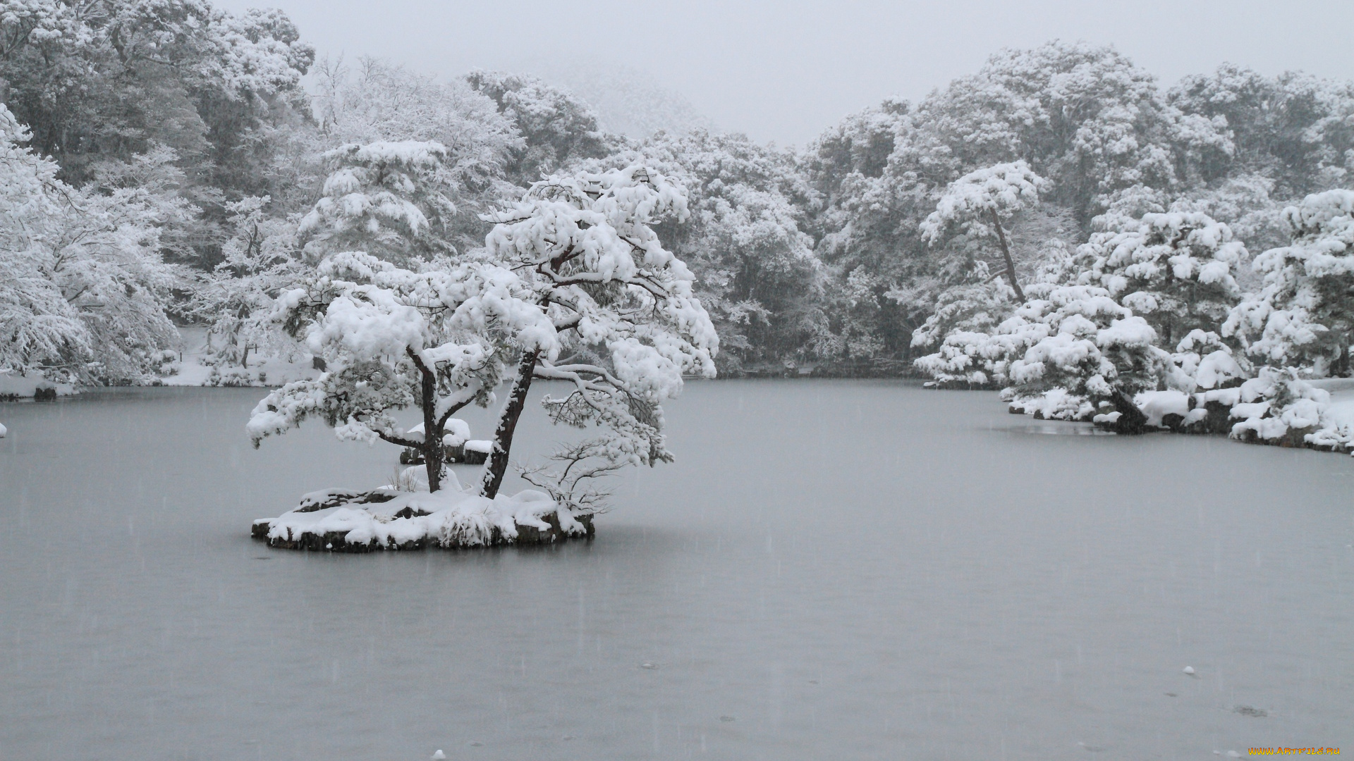 природа, зима, снег, деревья