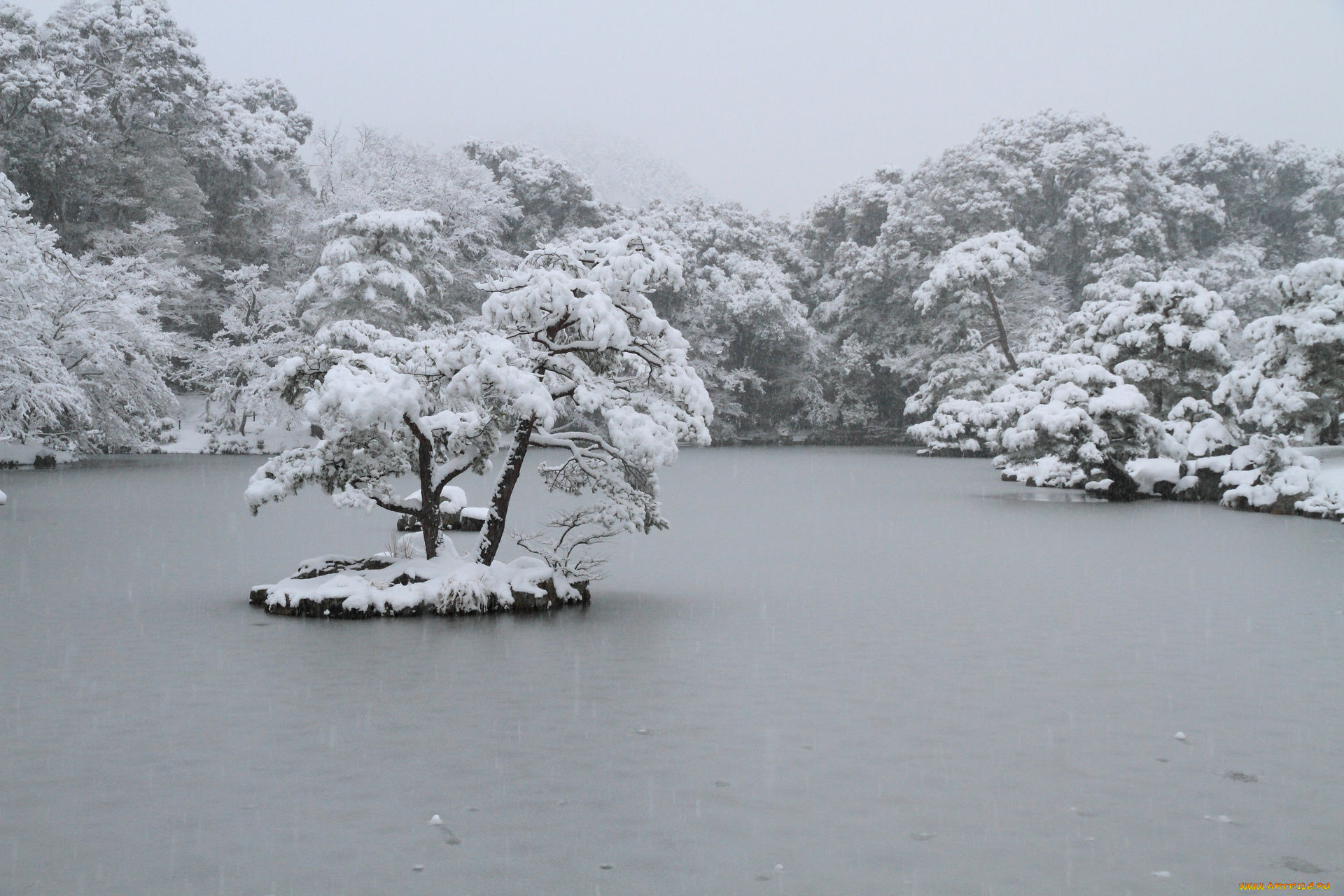 природа, зима, снег, деревья