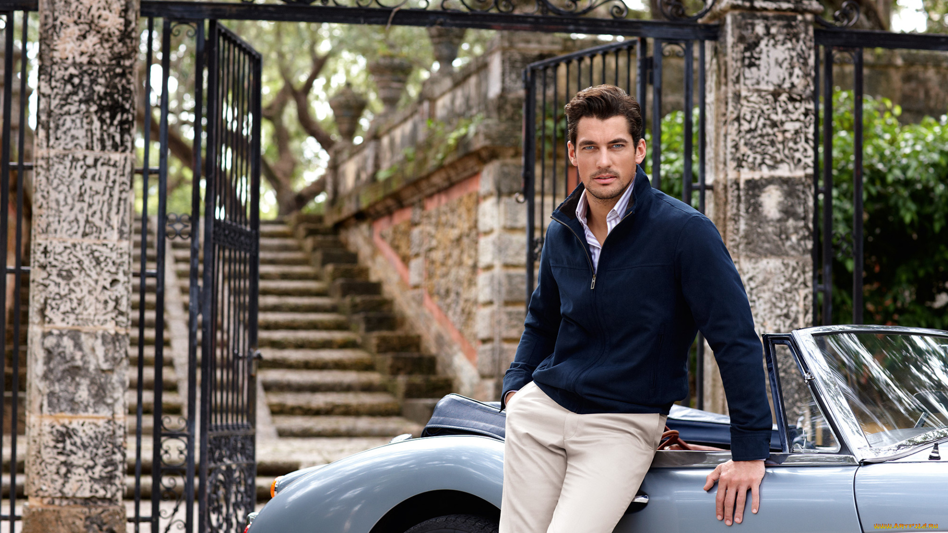 david, gandy, мужчины, лесница, машина