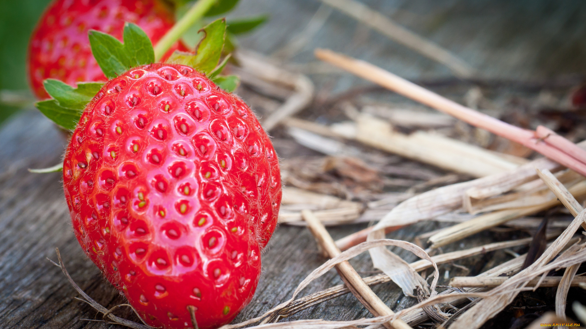 еда, клубника, , земляника