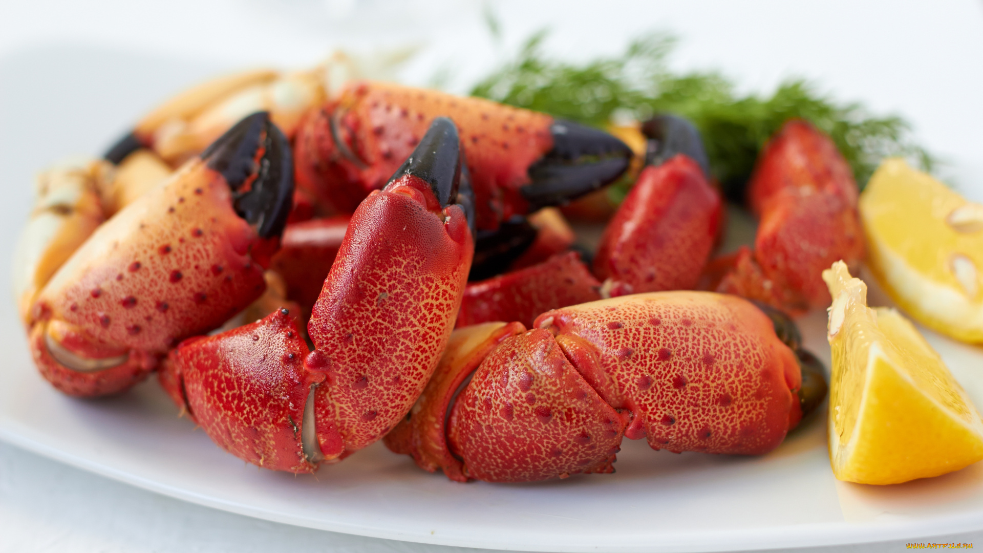 еда, рыба, , морепродукты, , суши, , роллы, крабы