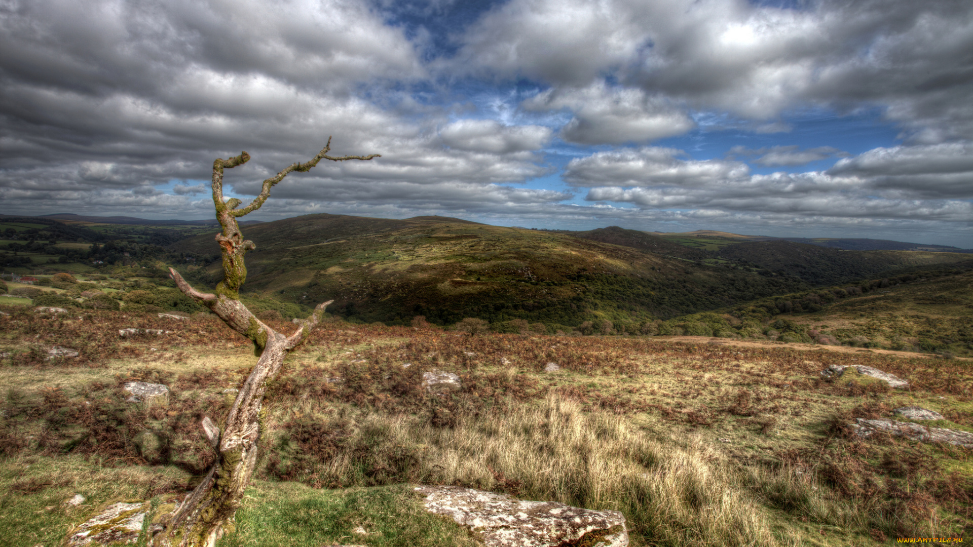 природа, горы, облака, трава, коряга, равнина, холмы
