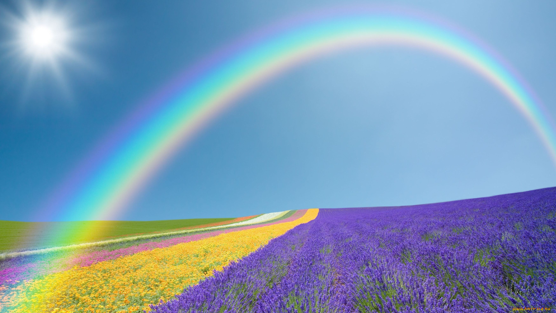 природа, радуга, поля