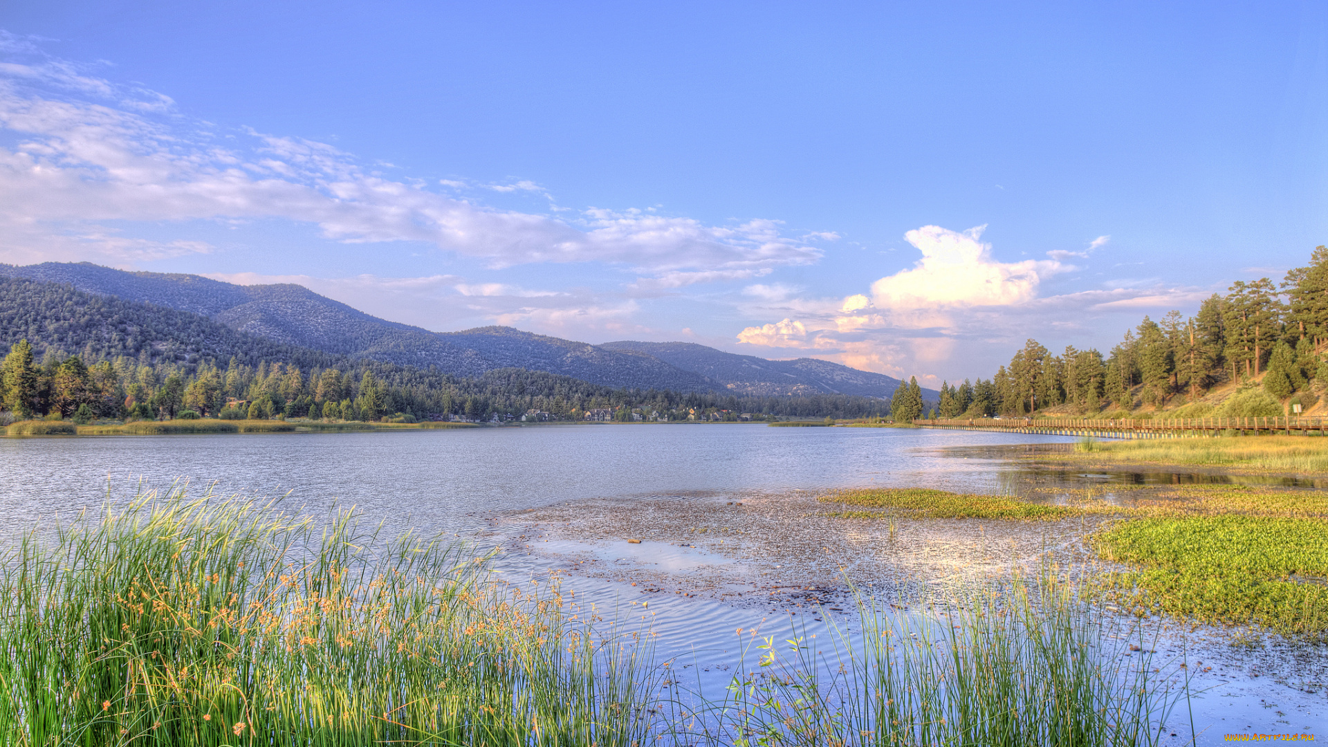 природа, реки, озера, река, лес, простор, холмы