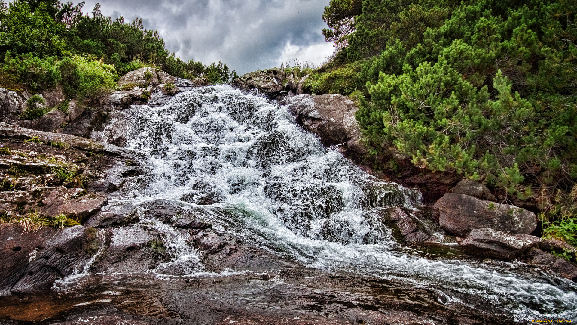 природа, реки, озера, ручей, лес, склон