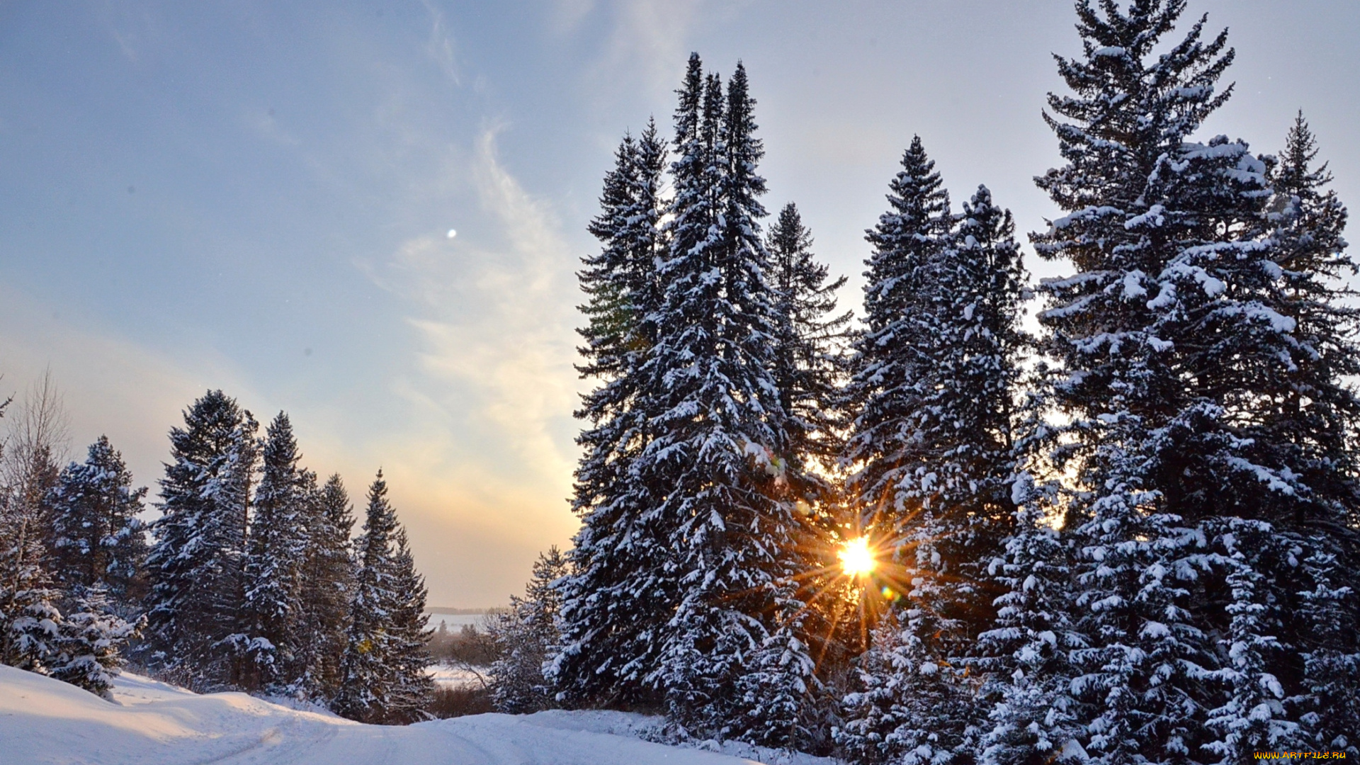 природа, зима, ели, солнце, снег