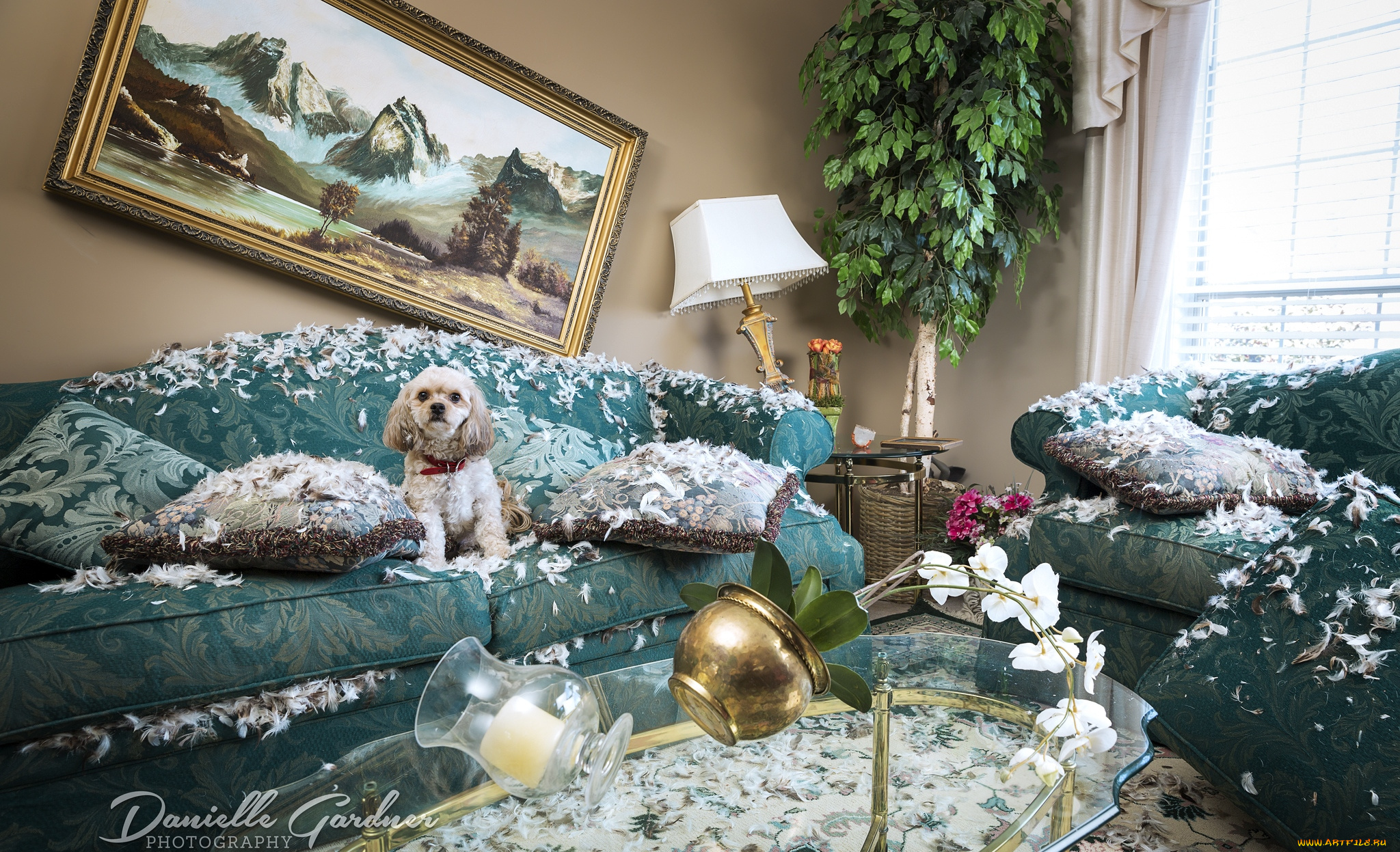 а, чё, , я, ничё, животные, собаки, невинность, бардак