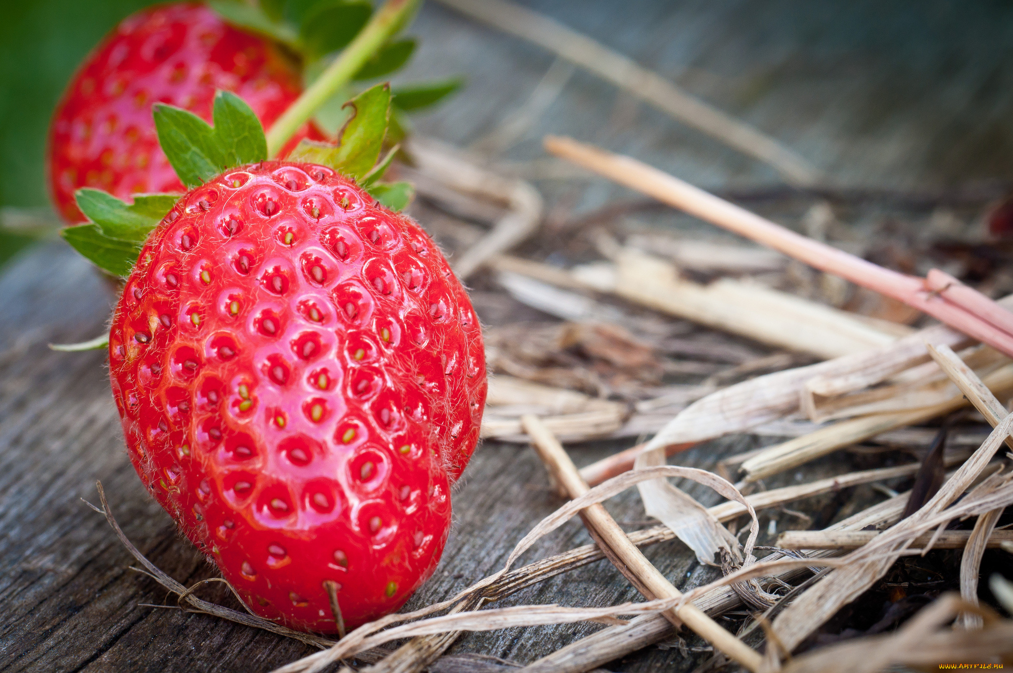 еда, клубника, , земляника