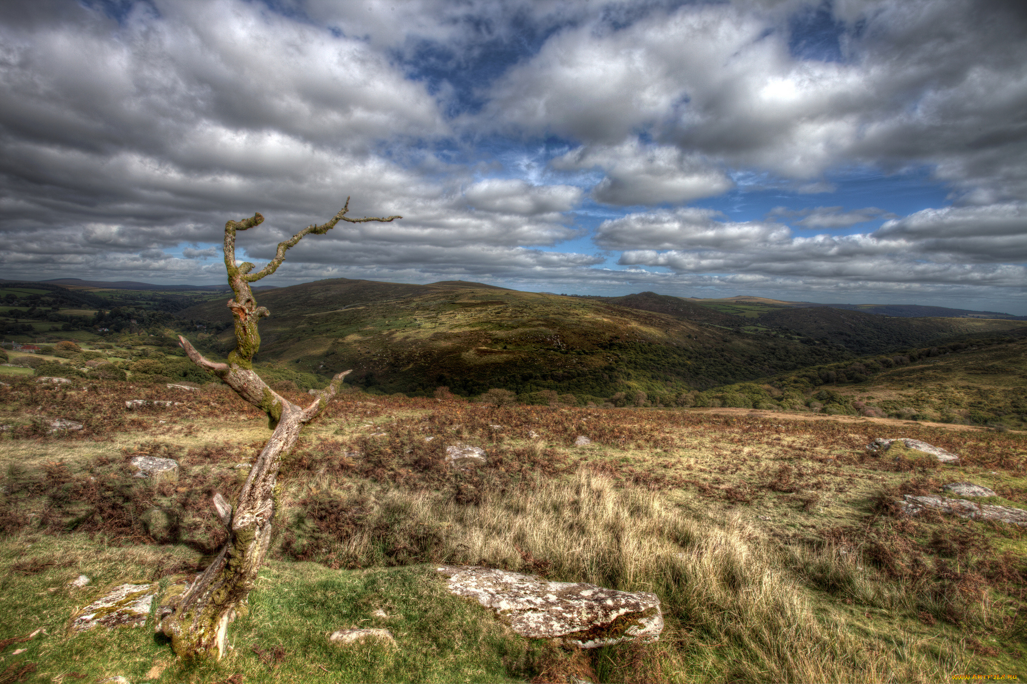 природа, горы, облака, трава, коряга, равнина, холмы