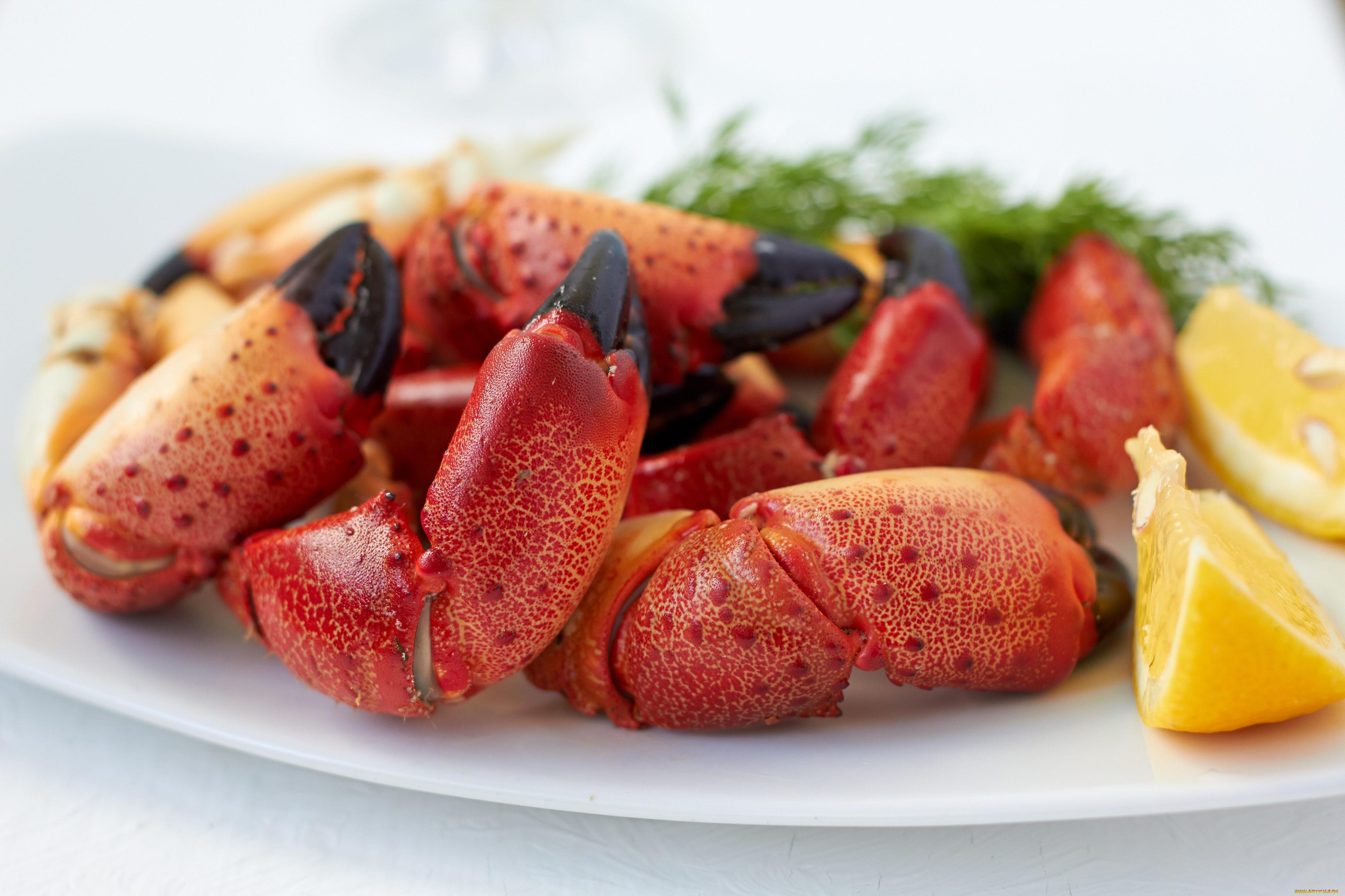 еда, рыба, , морепродукты, , суши, , роллы, крабы