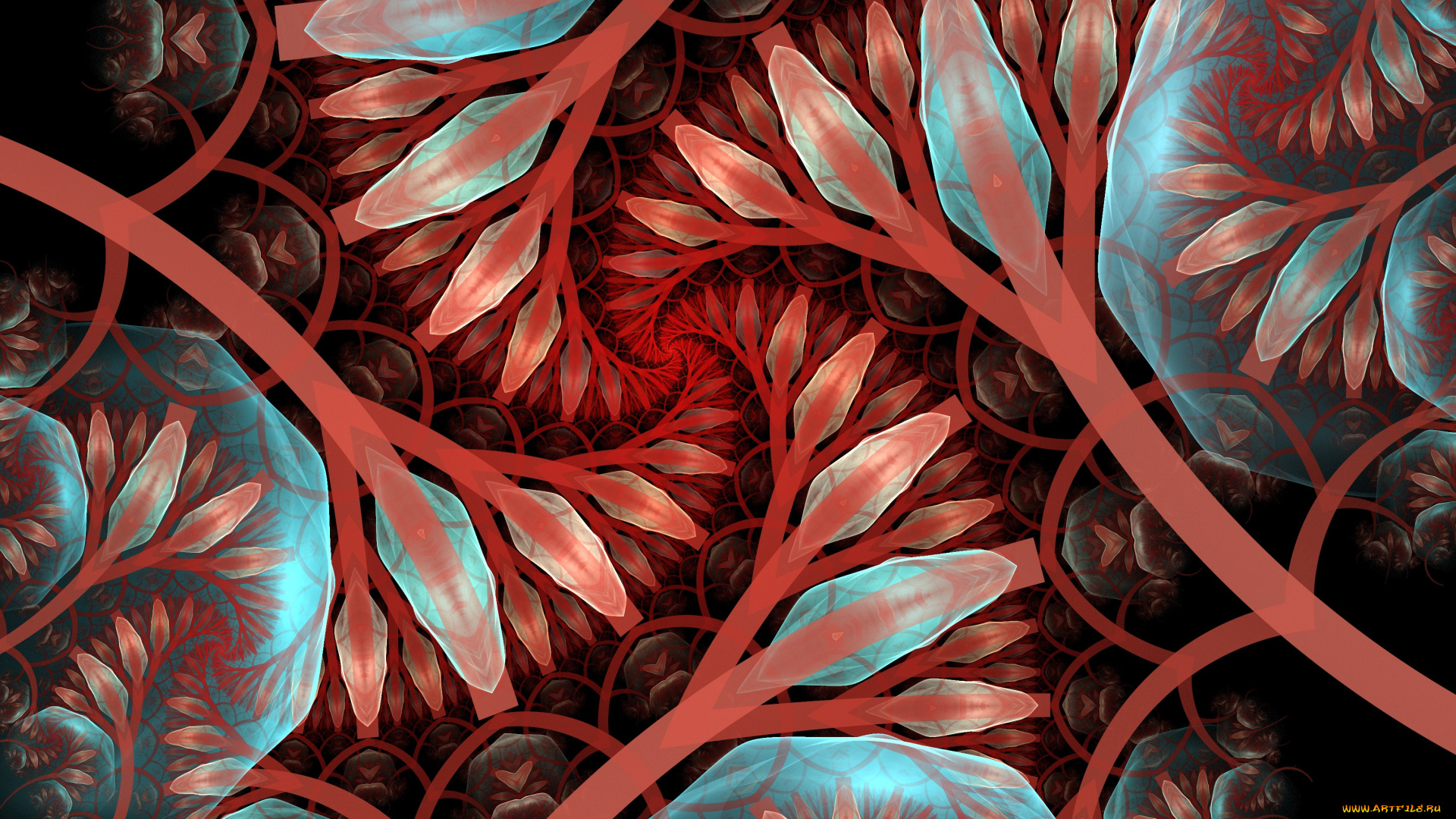 3д, графика, фракталы, , fractal, фон, узор, цвета