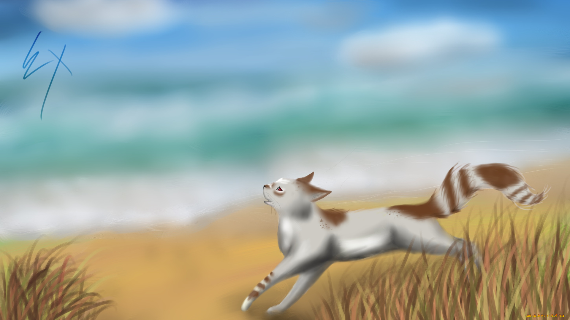 рисованное, животные, , коты, кот, поле, небо