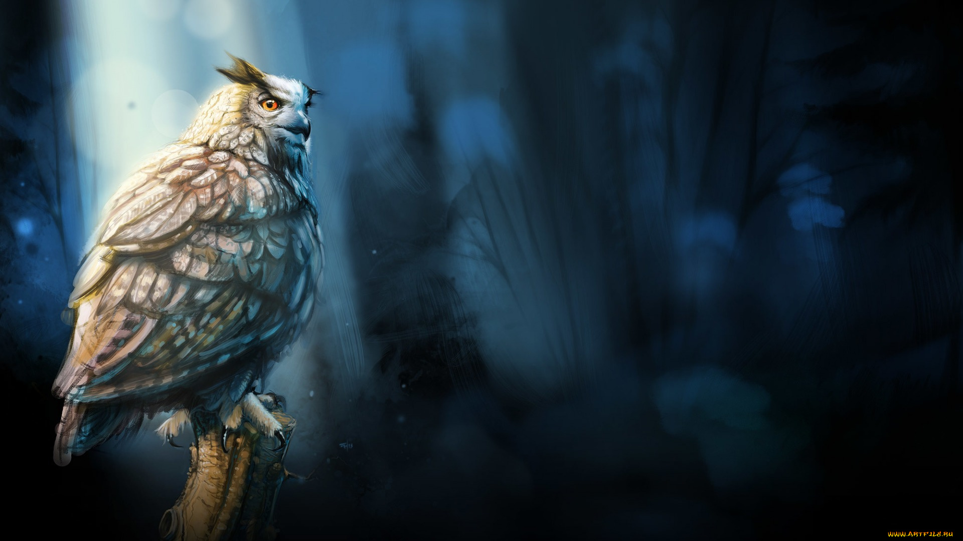 рисованное, животные, , птицы, , совы, , филины, ночь, взгляд, сова, птица