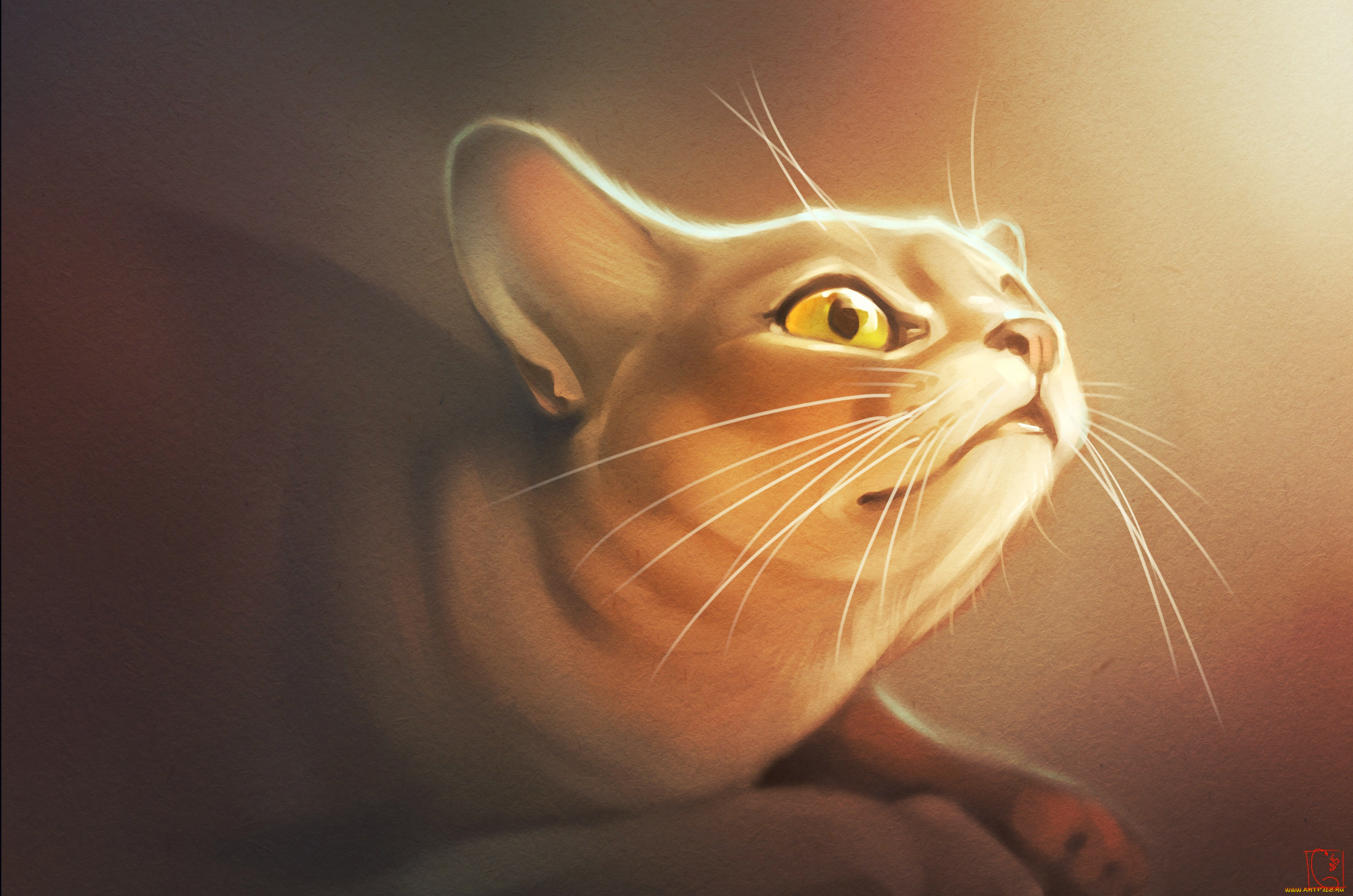 gaudibuendia, рисованное, животные, , коты, ушки, взгляд, кошка, кот, коте, киса, фон