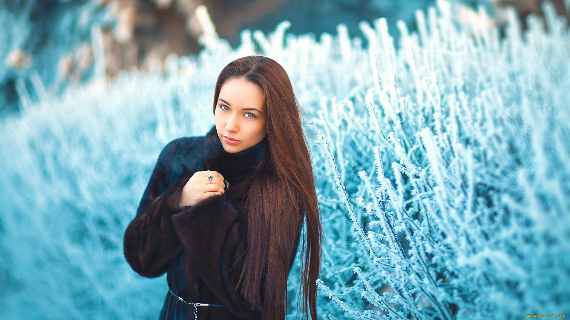 девушки, -unsort, , брюнетки, , шатенки, взгляд, шатенка, шубка, зима, девушка