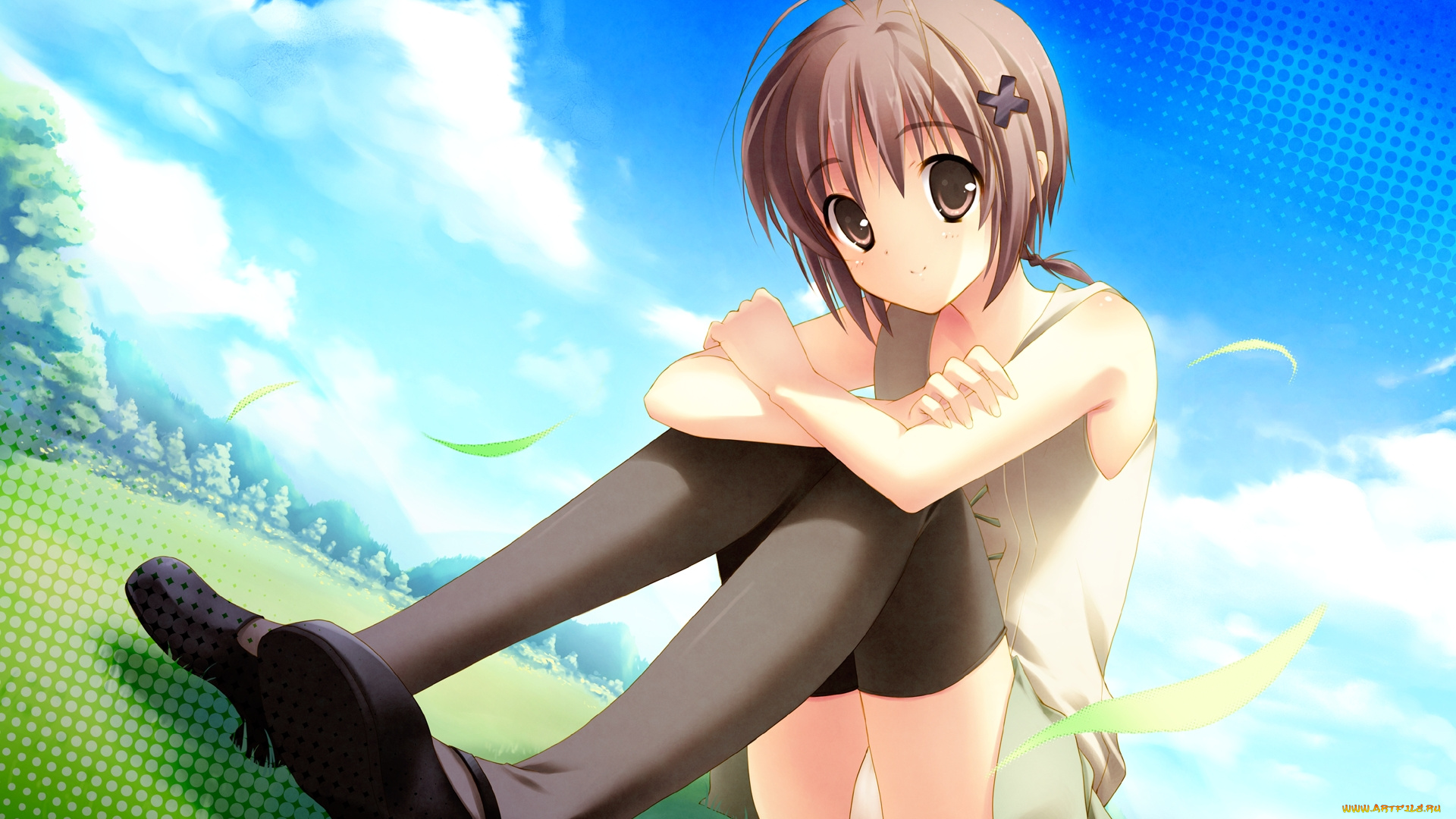 аниме, unknown, , другое, трава, облака, чулки, девушка