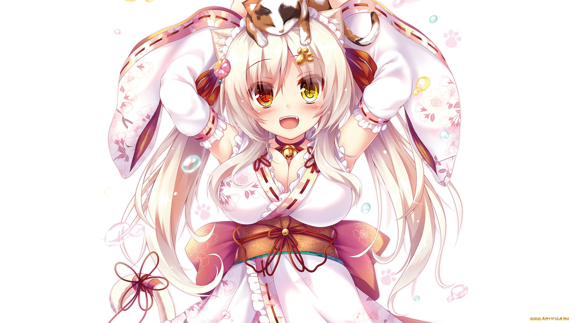 аниме, животные, , существа, кот, девушка