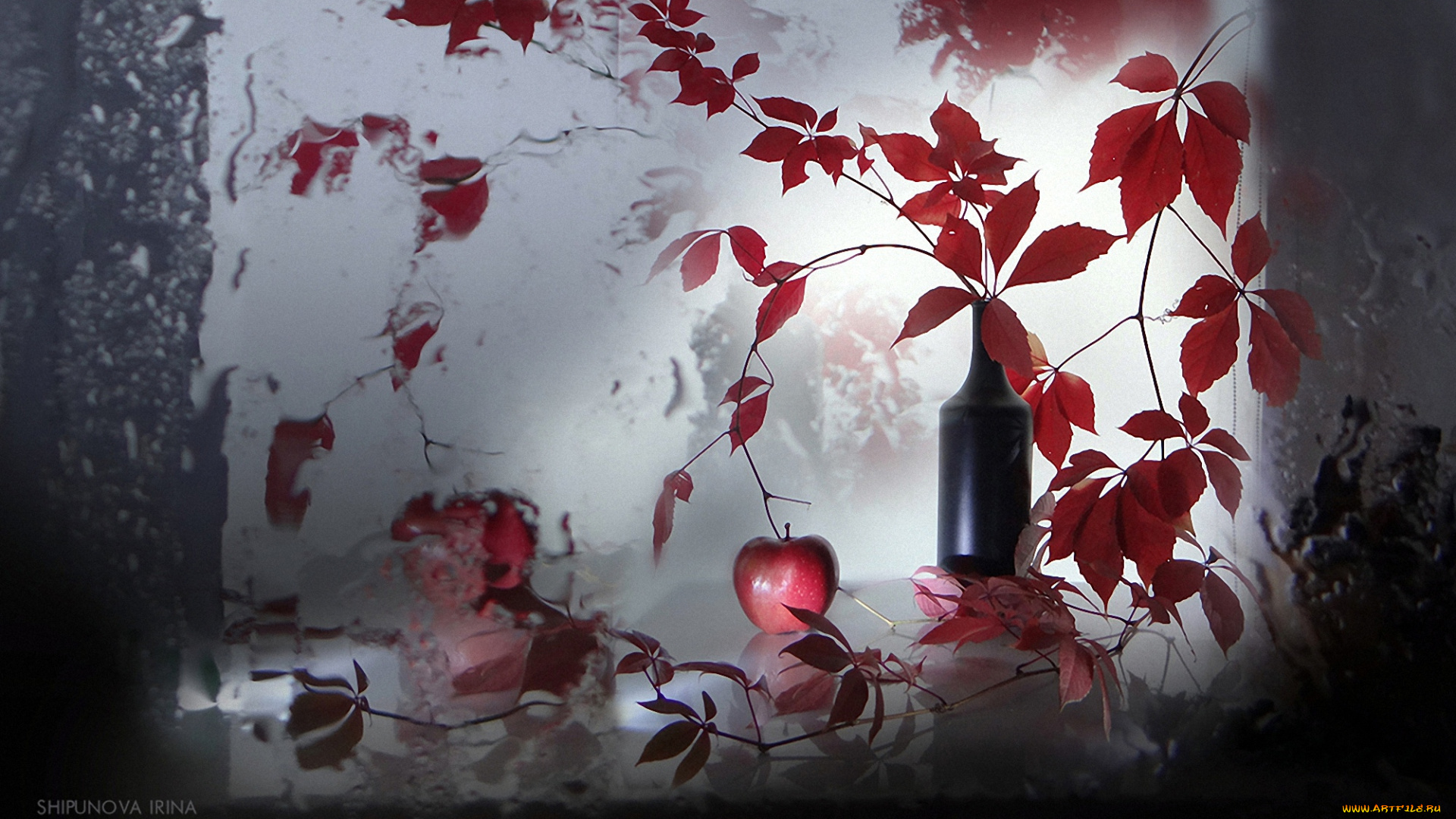 еда, натюрморт, проф, фото, шипунова, ирина