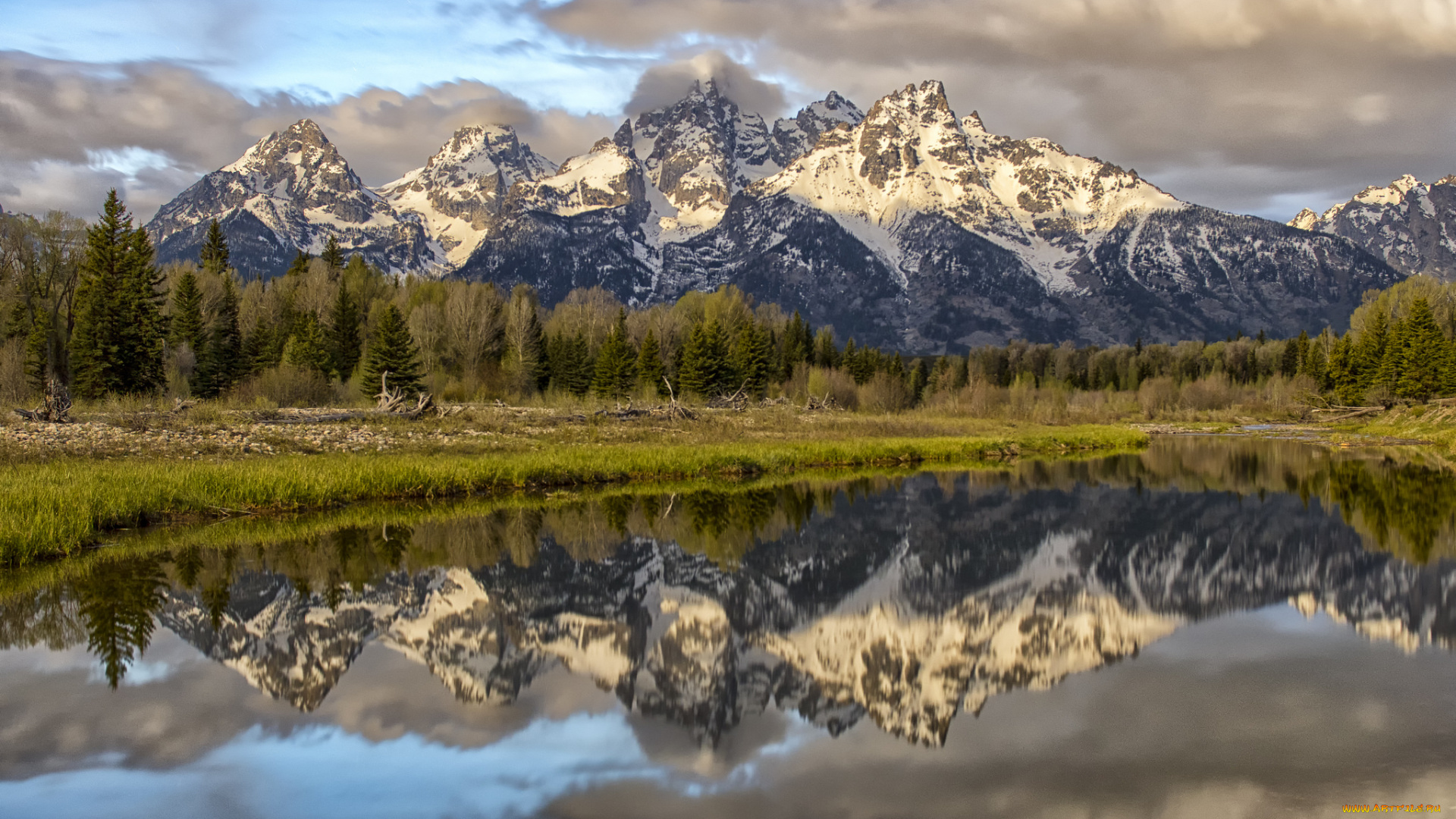 природа, реки, озера, лес, река