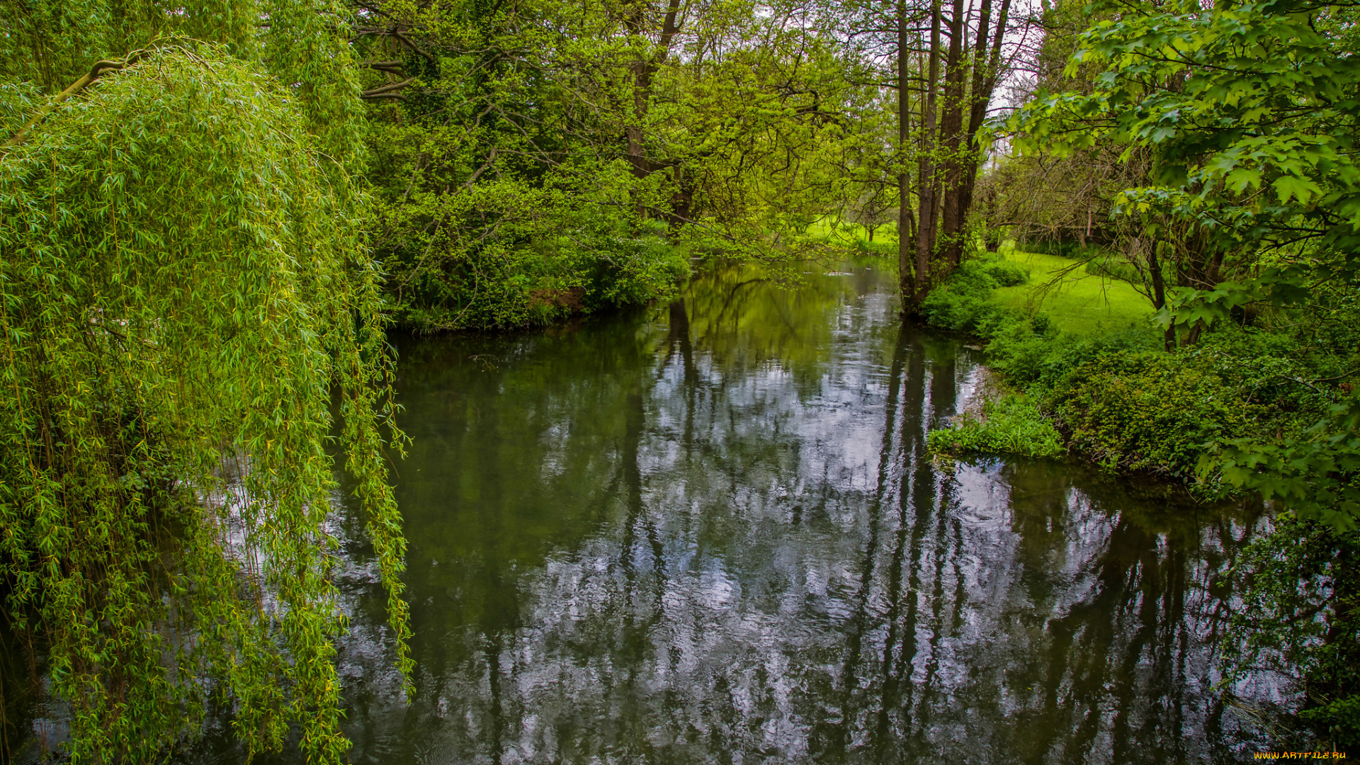 природа, реки, озера, лес, река