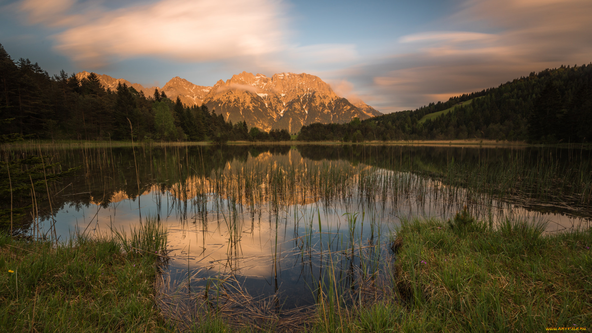 природа, реки, озера, лес, река