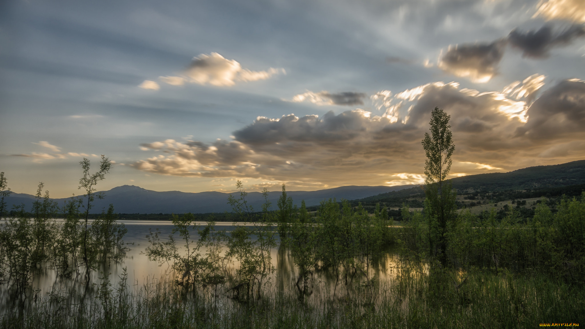 природа, реки, озера, река, лес