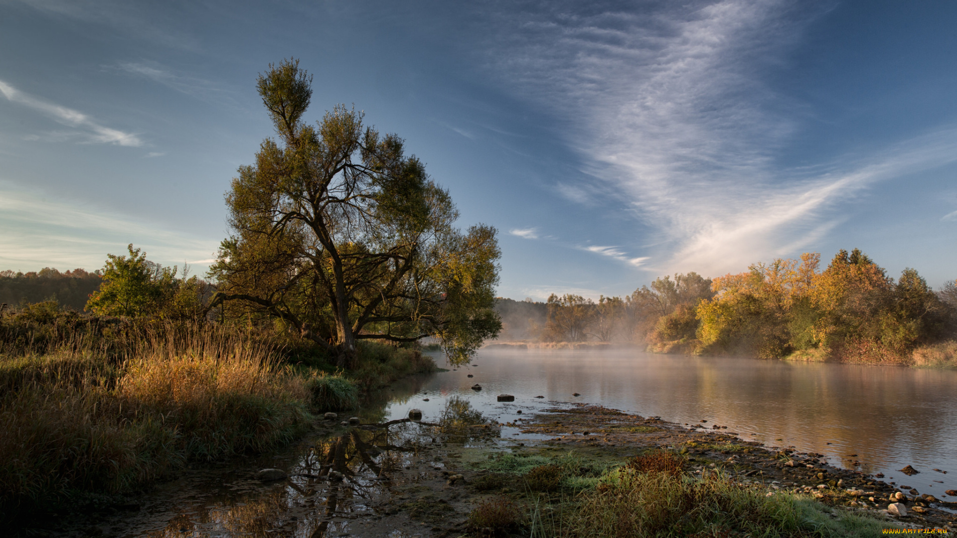 природа, реки, озера, река, лес