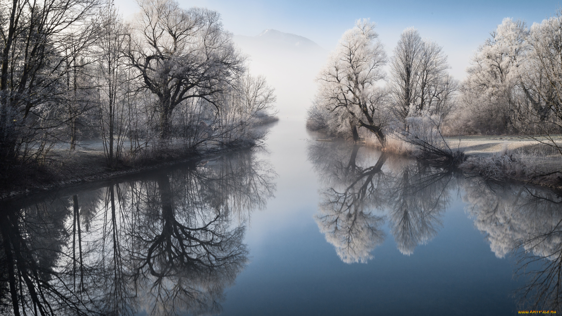 природа, реки, озера, река, лес